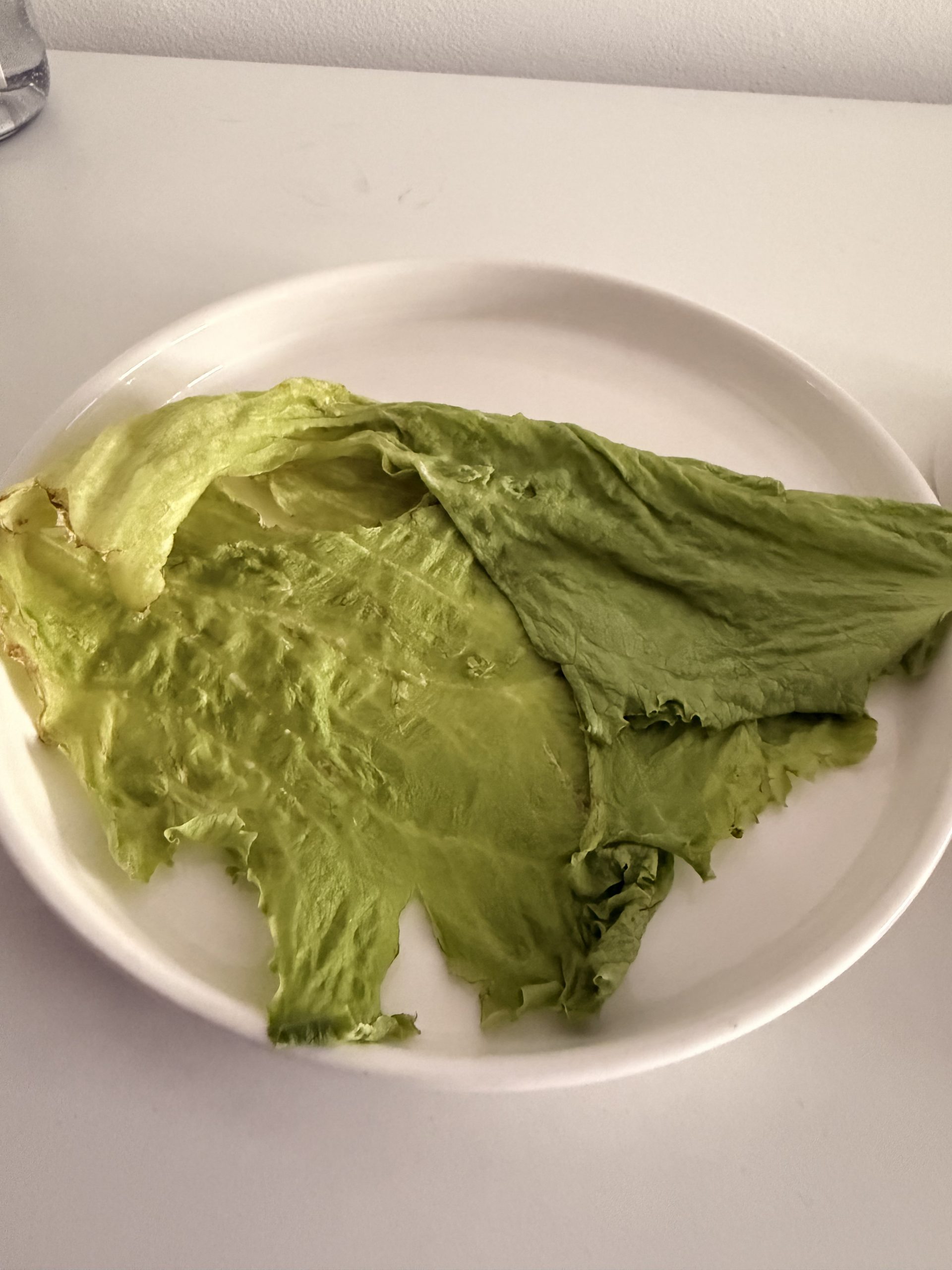 Unbehandeltes Salatblatt nach 10 Tagen: welk